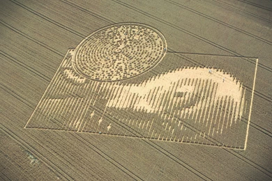 Crop Circle At CrabWood, Winchester, Hampshire, UK   15 August ...