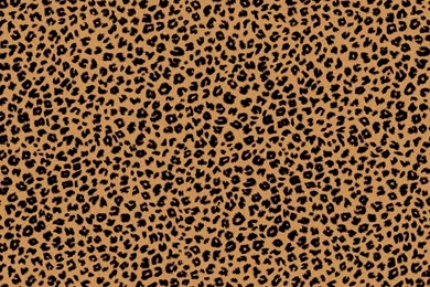 Cheetah Backgrounds Pictures   Wallpapers Cave