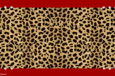 Cheetah Skin Wallpapers