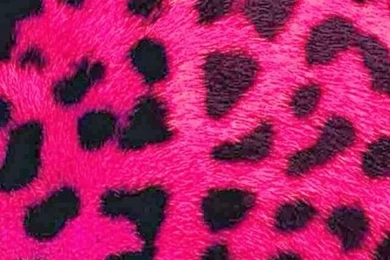 Cool Cheetah Print Phone Wallpapers HH7