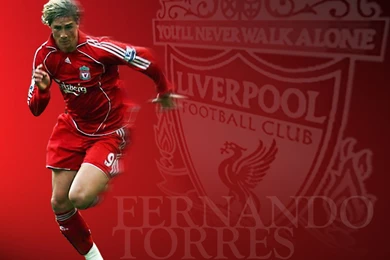 Download Fernando Torres Wallpapers Liverpool Wallpapers Torres ...