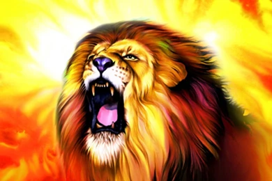 List Of Lion Size Pictures On Animal Picture Society