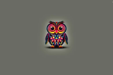 The Pictures For   > Colorful Owl Wallpapers