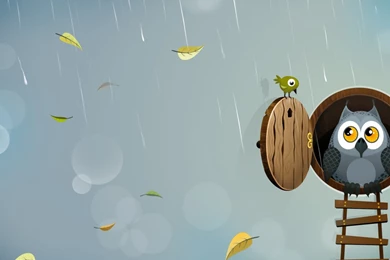 The Pictures For   > Colorful Owl Wallpapers