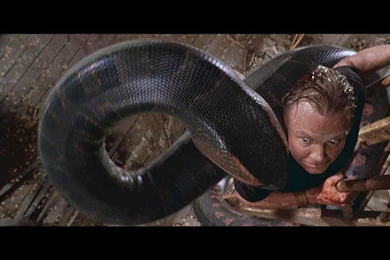 Animal Kingdom Beasts Of Horror Wicked Horror : Wicked Horror