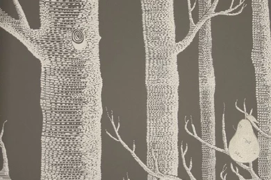 Woods And Pears Wallpapers Charcoal