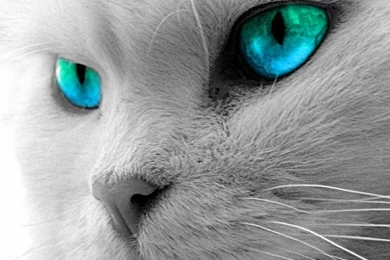 100+ Beautiful iPad 2 Wallpapers & iPad Backgrounds