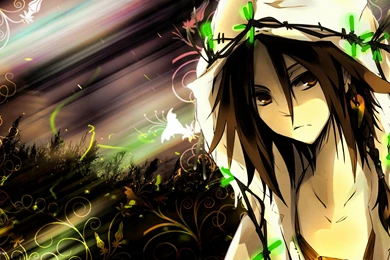 Shaman King By Darkludovic On DeviantArt