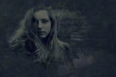 Birdy Blend : Desktop And Mobile Wallpapers : Wallippo