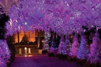 Have A Magical Purple Christmas Wallpapers   (