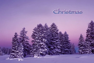 Merry Christmas   Christmas Wallpapers (32793644)   Fanpop