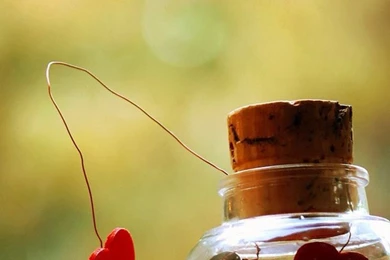 iPhone 5 Wallpapers   Girly Theme