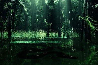 Nature Wallpapers 3D HD   Nature