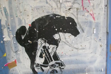 Street Art : Desktop And Mobile Wallpapers : Wallippo