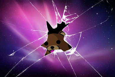 Pedobear Through The Broken Screen Wallpapers Free Desktop ...