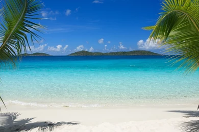 Download HD Tropical Island Beach Palm Trees Sea Waves Wallpapers ...