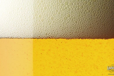BEER WALLPAPER   (