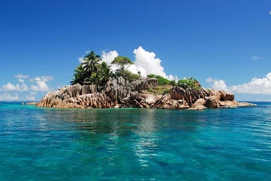 Tropical Island Collection (44+)