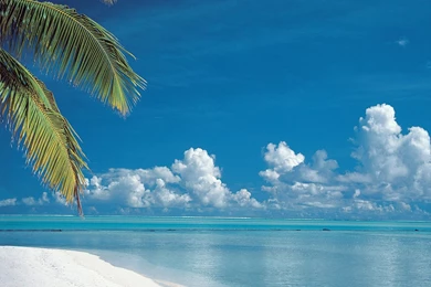 Best Cook Island Beach Wallpaper High Resolution Jpeg 66786 ...
