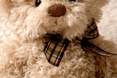 iPhone 5S, 5C, 5 Teddy Bear Wallpapers HD, Desktop Backgrounds ...