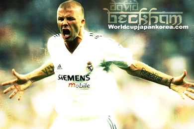 Wallpapers For David Beckham 66683 Desktop Wallpapers