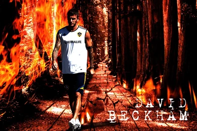 Photo :: David Beckham New Wallpapers
