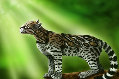 Admin – Page 1274 – BUZZERG