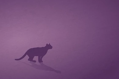 10 Beautiful Wallpapers For Your 11.10 Desktop