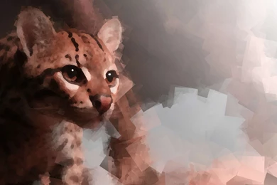 Ubuntu 11.10 Oneiric Ocelot Wallpapers   Tux planet