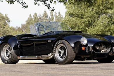 Cobra 85e4260774081efbe473f7e909ea4cb9.jpg