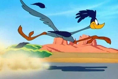 ROAD RUNNER WALLPAPER   (
