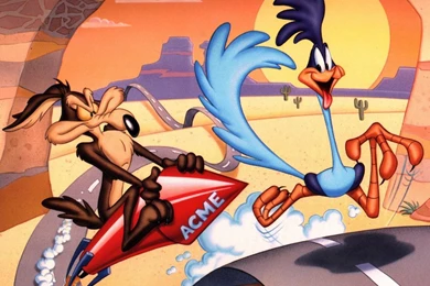 8 Road Runner HD Wallpapers