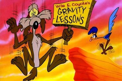 Best Road Runner HQ Pictures