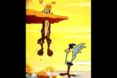 My Free Wallpapers   Cartoons Wallpapers : Roadrunner