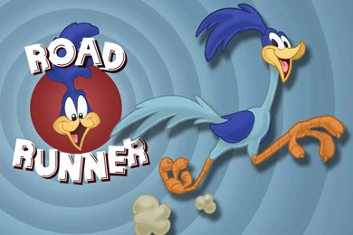 8 Road Runner HD Wallpapers