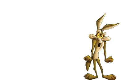 Looney Tunes Wile E Coyote And Road Runner