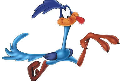 1280x1024px Road Runner 65.55 KB