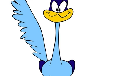 512x394px 24.45 KB Road Runner