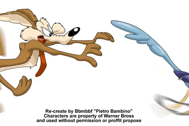 1932x827px Roadrunner