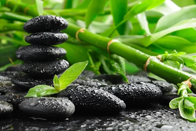 HD Bamboo Zen Black Stone Wallpapers HD Full Size   HiReWallpapers ...
