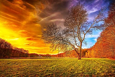 Top Downloaded Wallpapers Desktop / Blafoo.org