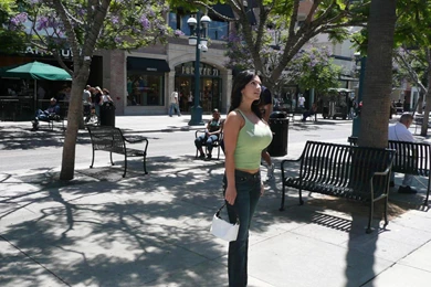 Denise Milani At Santa Monica Wallpapers   (