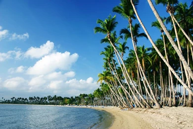 HD Nature In Dominican Republic Wallpapers   New Post Has Been ...