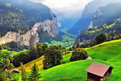 Hd Wallpapers, Flowers, Nature Images, Nature Stock Photos, Plants ...