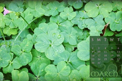 Freebie Download: March 2014 Calendars & Wallpapers
