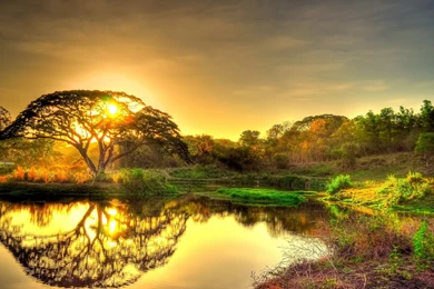 Nature Full HD 1080p Wallpapers 1920x1080   Wallpapers   UC FORUM ...