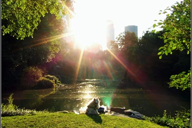 Good Morning Wallpapers Free Download