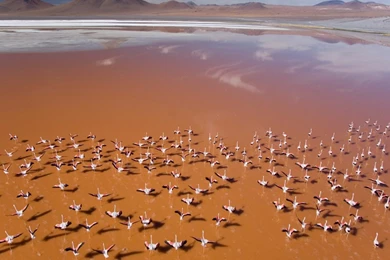 Apple OS X Wallpapers Hd 1280x1024 Laptop Wallpaper