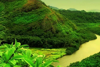 Live Nature Wallpapers For PC Free Download,desktop Wallpapers