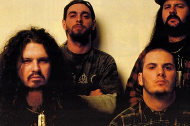 16 Pantera HD Wallpapers